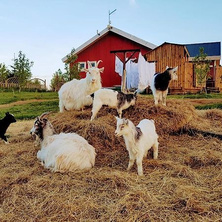 Skalatjoern Guesthouse Skalatjorn Dış mekan fotoğraf