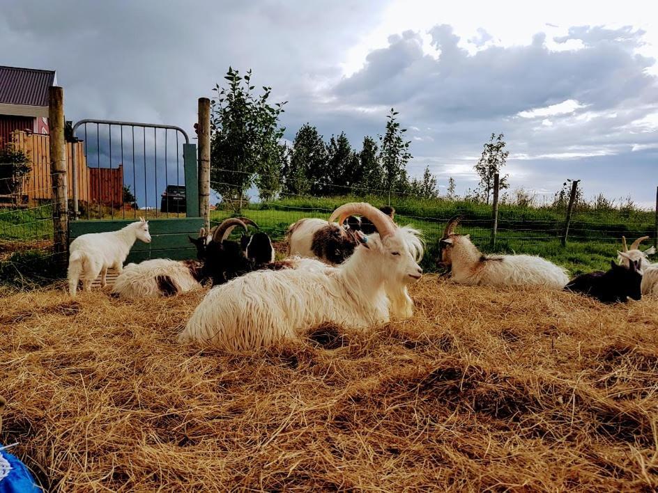 Skalatjoern Guesthouse Skalatjorn Dış mekan fotoğraf