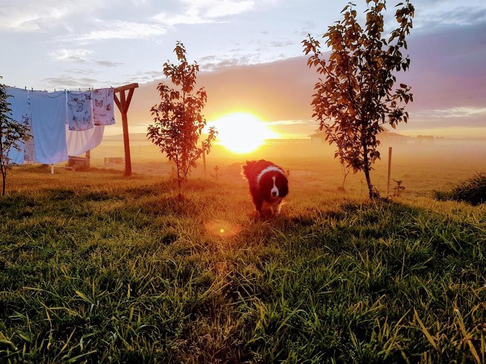 Skalatjoern Guesthouse Skalatjorn Dış mekan fotoğraf